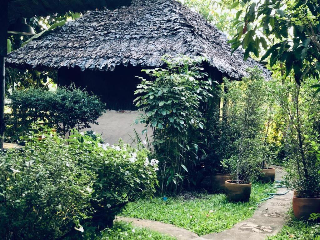 Khun Nai Tern Sai Hotel (Adults Only) Пай Экстерьер фото